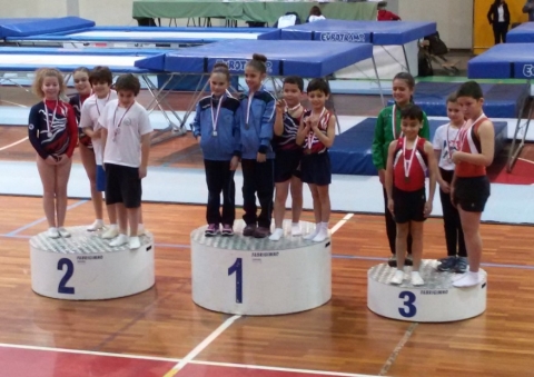 Campeonato Distrital de Trampolim Individual e Trampolim Sincronizado