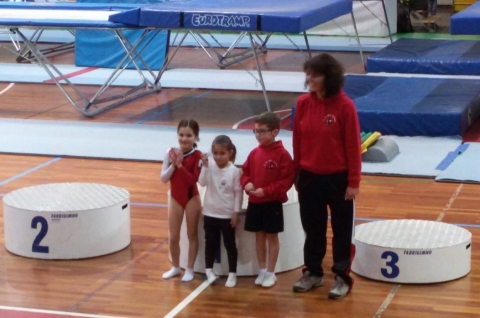 Campeonato Distrital de Trampolim Individual e Trampolim Sincronizado