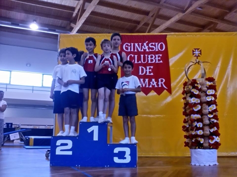 Campeonato Distrital de Mini Trampolim